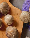 Live Littleneck Steamer Clams - 1 Dozen