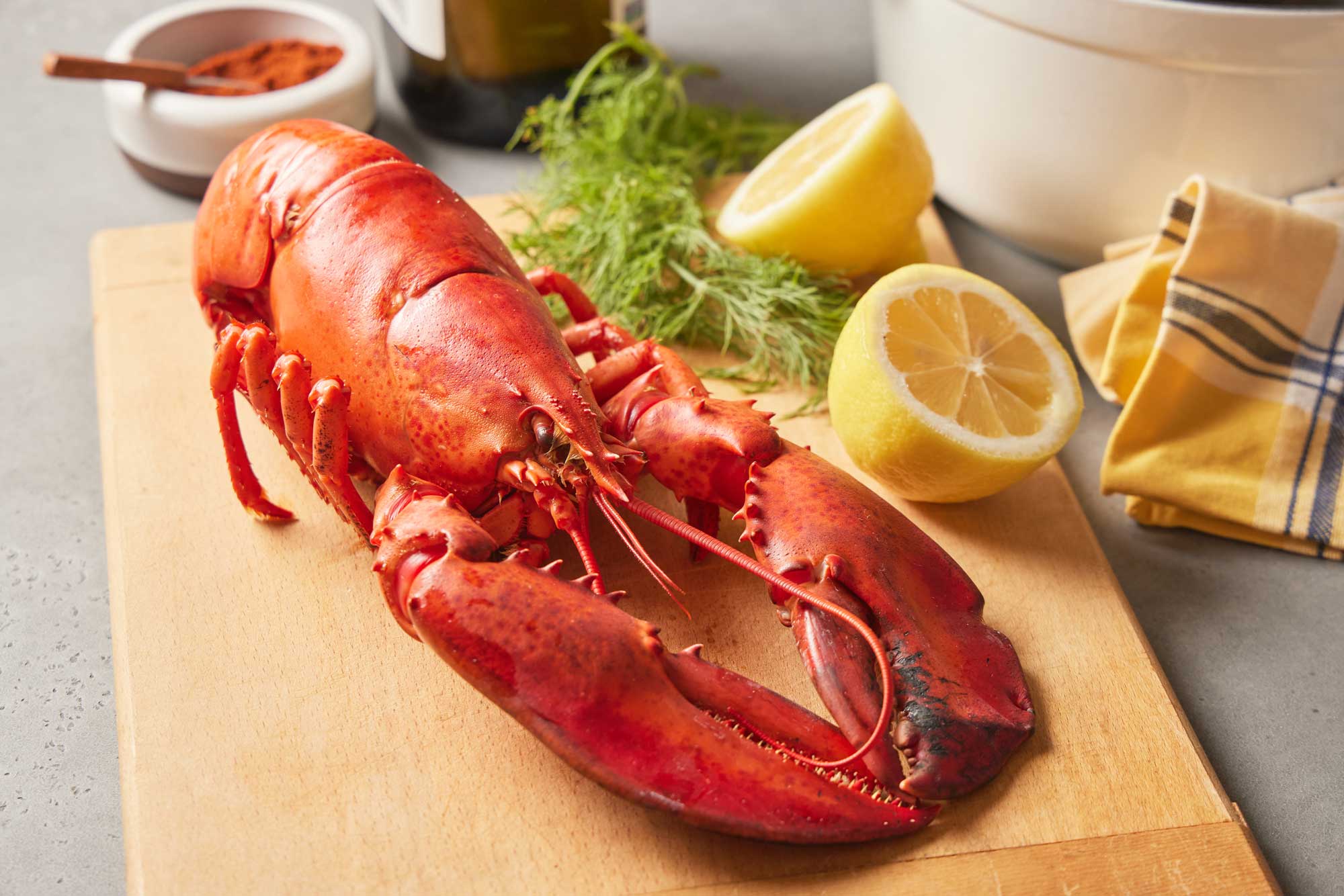 Lobster 101 Everything You Need to Know About Lobster Roger's Fish Co.
