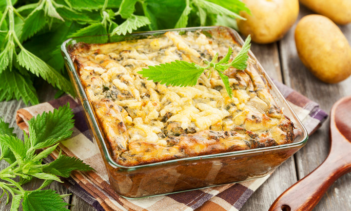 Oyster and Mushroom Casserole Recipe