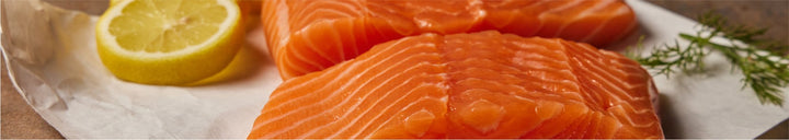 Two pieces of raw salmon with slice of lemon