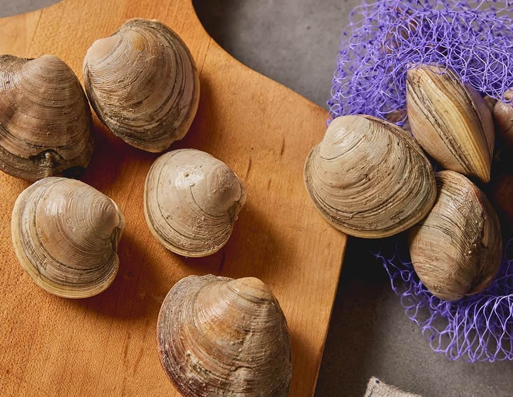 Live Littleneck Steamer Clams, 1 Dozen Premium Fresh Clams Roger's