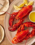 North Atlantic Whole Lobster - Live or Cooked