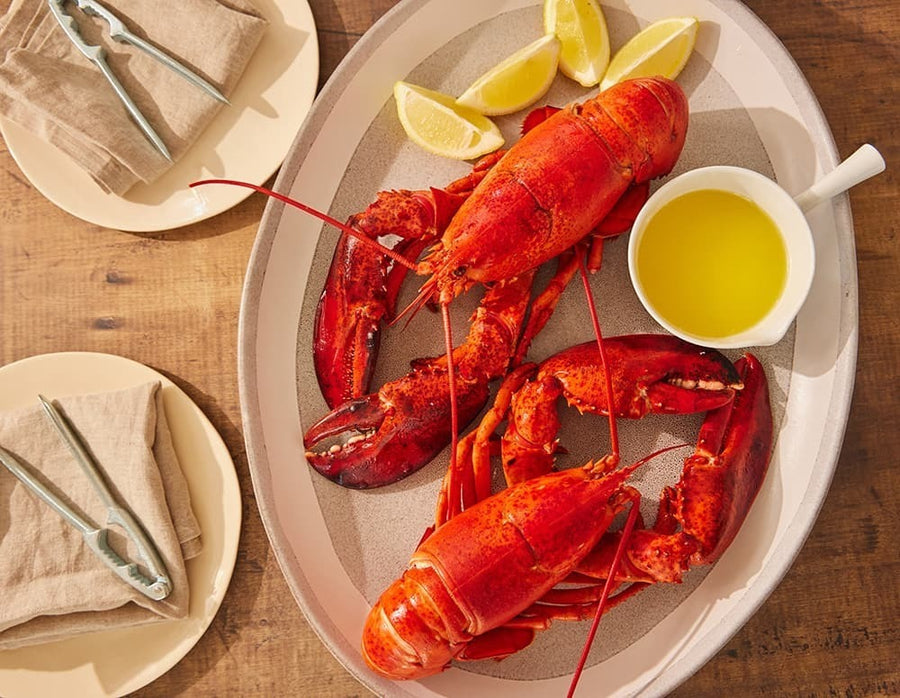 North Atlantic Whole Lobster - Live or Cooked