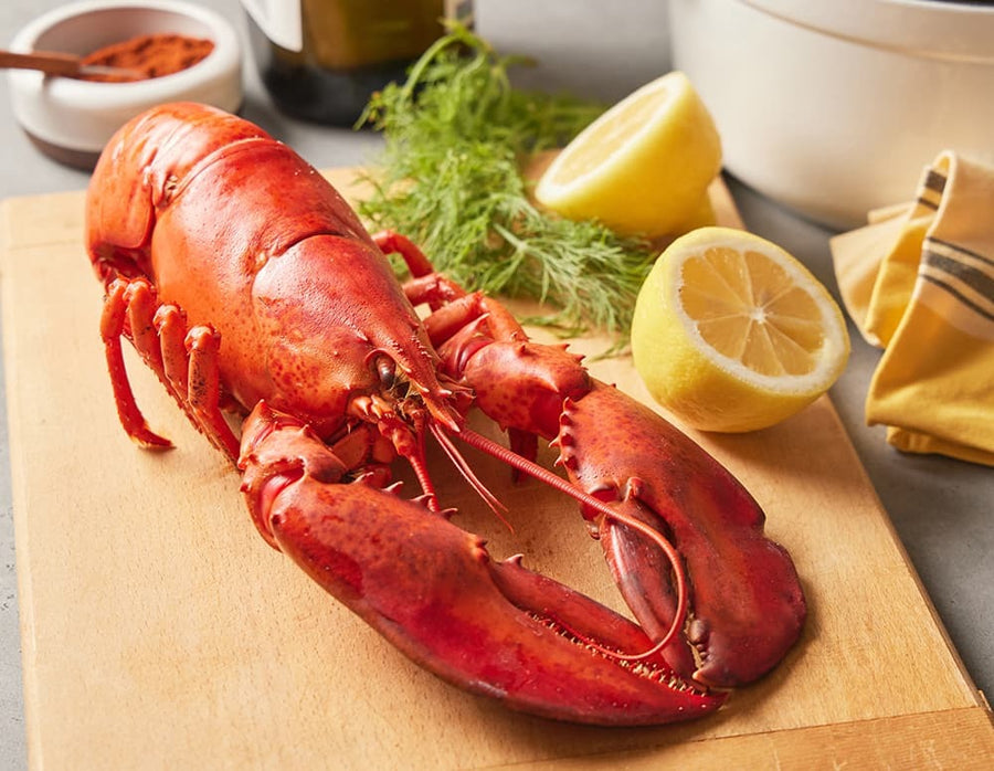 4 lb - 6 lb North Atlantic Live Maine Lobsters for Sale Online